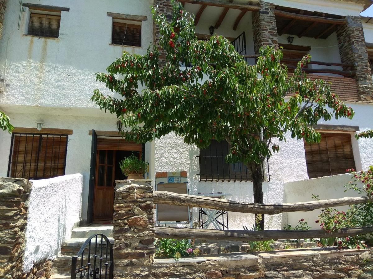 Una Joya En La Alpujarra ブビオン エクステリア 写真