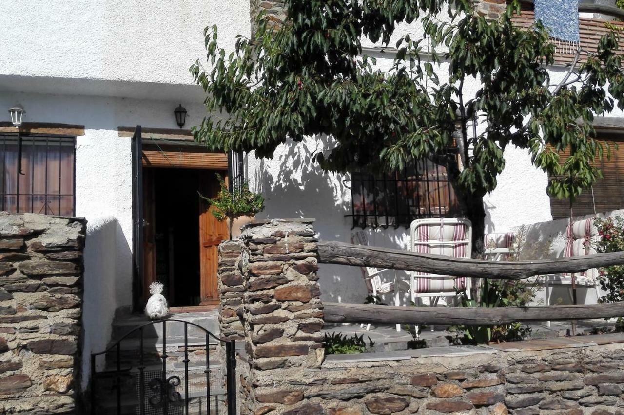 Una Joya En La Alpujarra ブビオン エクステリア 写真