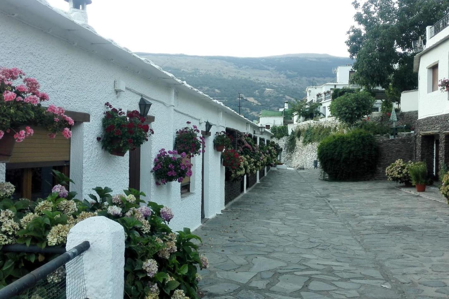 Una Joya En La Alpujarra ブビオン エクステリア 写真